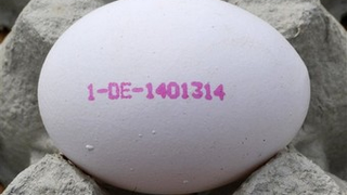 "Another Side Of Being Pro-Choice:" Egg Donors Tell Their Stories